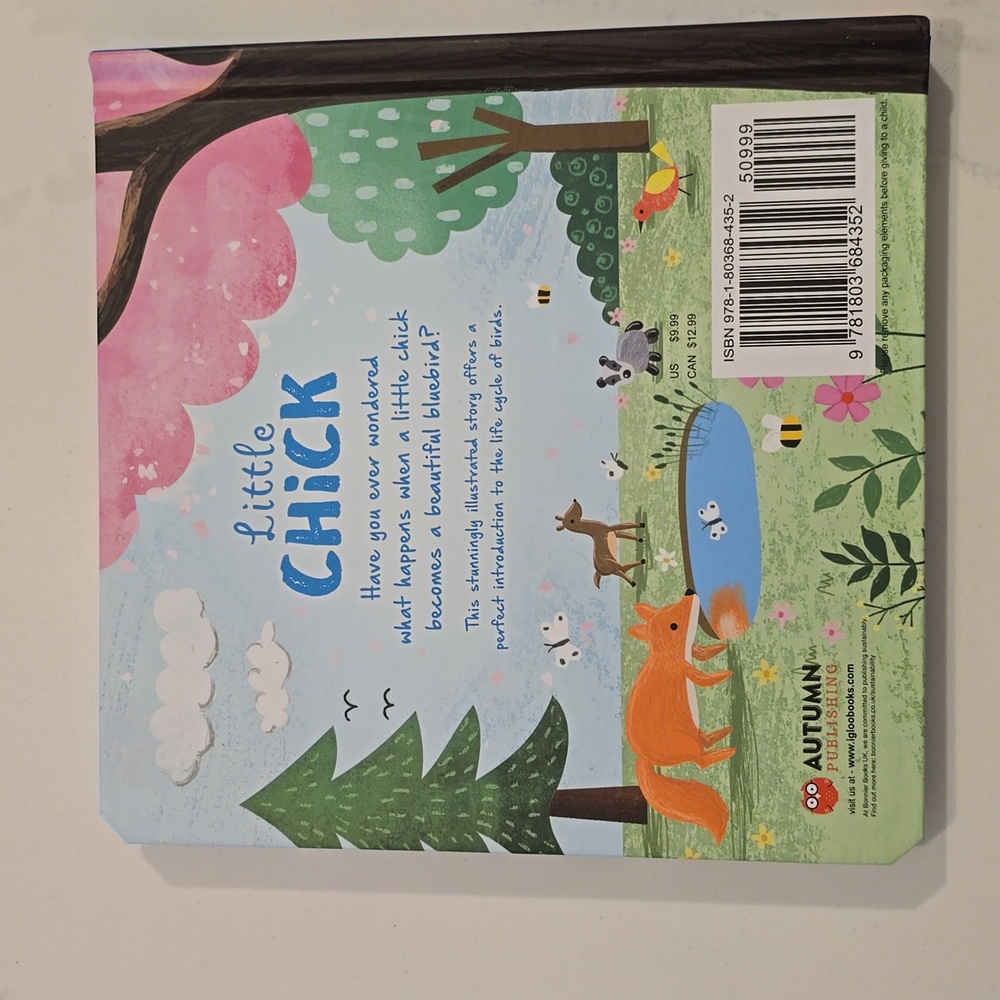 Little Chick Children's Book - Picture 4 of 4